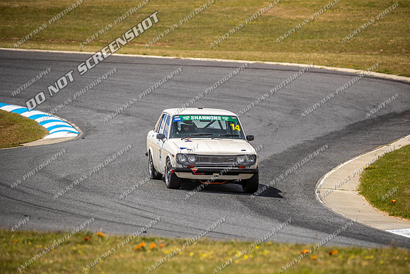 Regularity Sedans - 14 - Baskerville Historics 2024-3