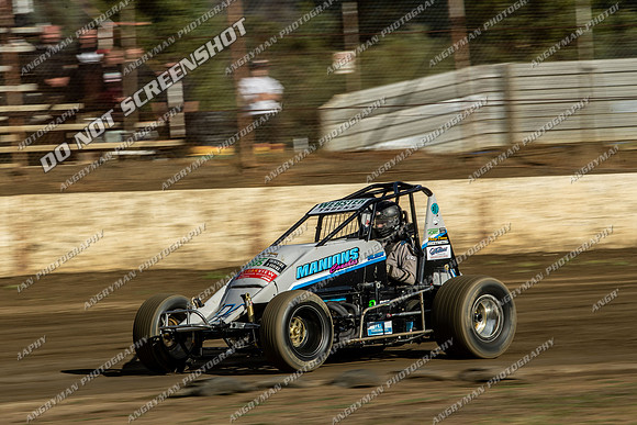 Wingless 14 T14 - 06 - Hobart - 9th Dec 2023