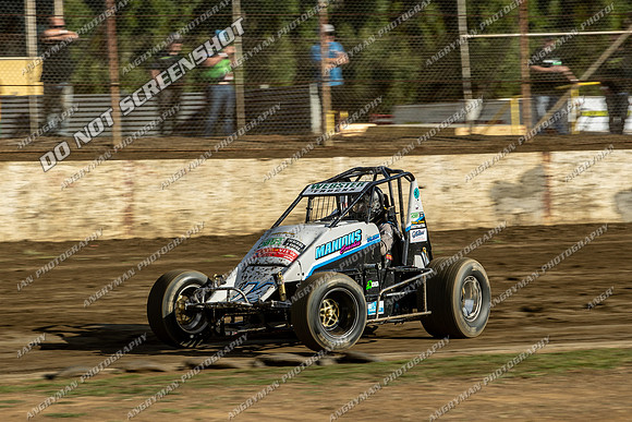 Wingless 14 T14 - 06 - Hobart - 9th Dec 2023-3
