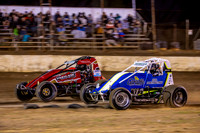 Wingless 21 T21 - 06 - Hobart - 9th Dec 2023-8