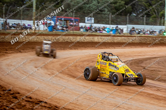 Wingless 17 T17 - 14 - Carrick - 25th Jan 2022-7