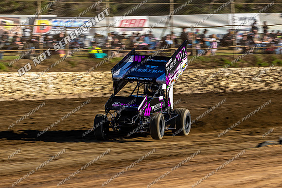Sprintcar 14 T14 - 08 - Latrobe - 30th Dec 2023