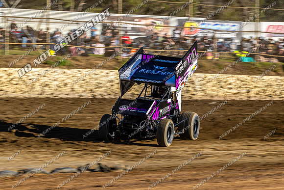 Sprintcar 14 T14 - 08 - Latrobe - 30th Dec 2023-2