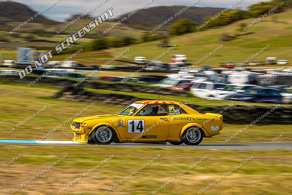 Muscle Car Cup - 14 - Baskerville Historics 2024-16