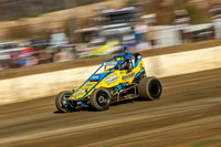 Wingless 17 T17 - 09 - Hobart - 6th Jan 2024