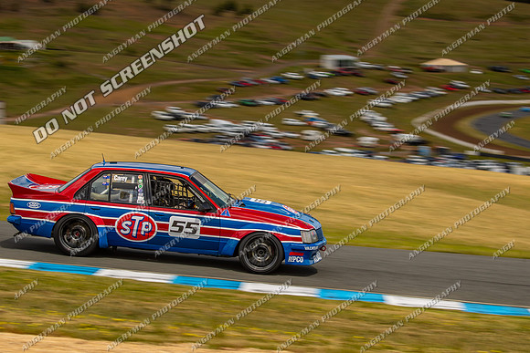Muscle Car Cup - 55 - Baskerville Historics 2024-19