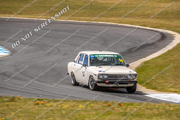 Regularity Sedans - 14 - Baskerville Historics 2024-5