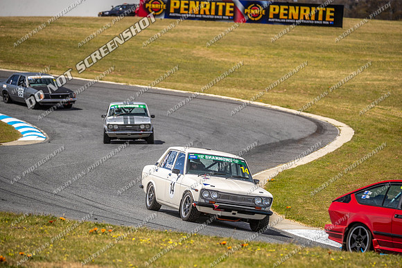 Regularity Sedans - 14 - Baskerville Historics 2024