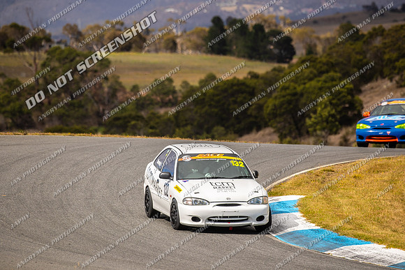 Hyundai 132 - TCRC Rnd 1 - 26-29 Jan 2024-8