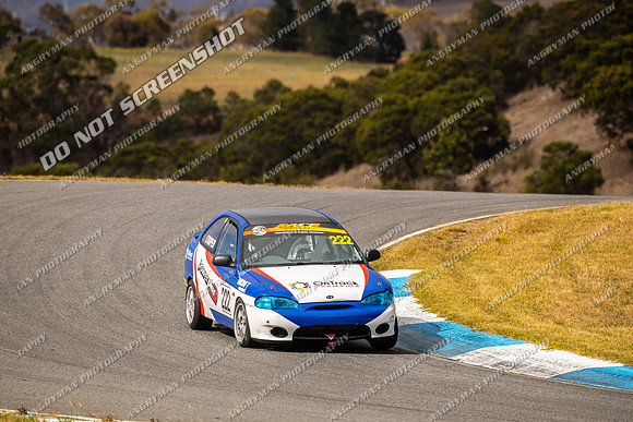 Hyundai 222 - TCRC Rnd 1 - 26-29 Jan 2024-7