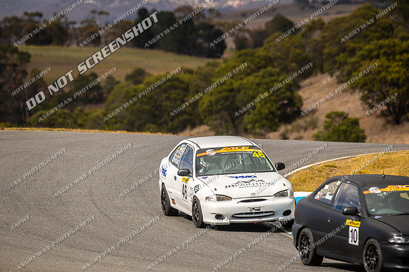 Hyundai 46 - TCRC Rnd 1 - 26-29 Jan 2024-5