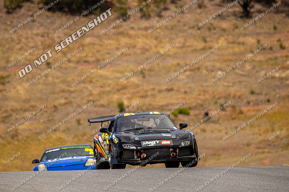 Sports GT 22 - TCRC Rnd 1 - 26-29 Jan 2024-12