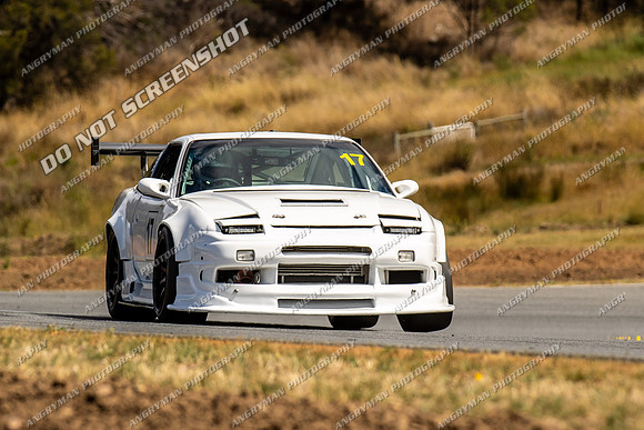 Sports Sedan 17 - TCRC Rnd 1 - 26-29 Jan 2024-7
