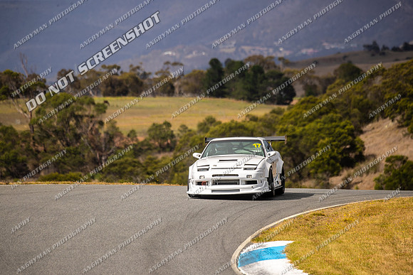 Sports Sedan 17 - TCRC Rnd 1 - 26-29 Jan 2024-14