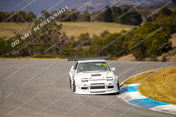 Sports Sedan 17 - TCRC Rnd 1 - 26-29 Jan 2024-15