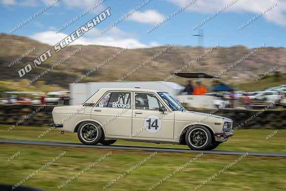 Regularity Sedans - 14 - Baskerville Historics 2024-9