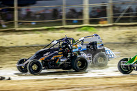 Wingless 11 T11 - 14 - Latrobe - 10th Feb 2024