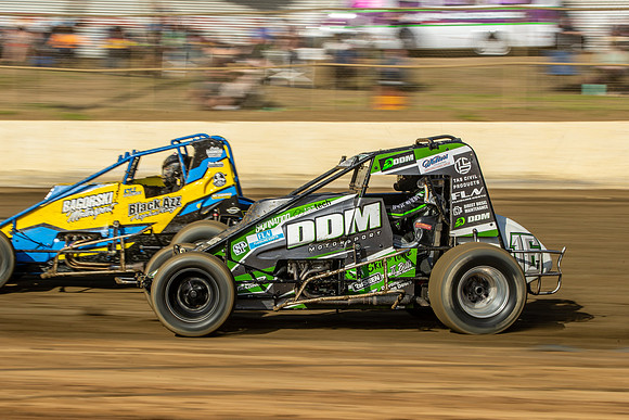 Wingless 16 T16 - 14 - Latrobe - 10th Feb 2024-4