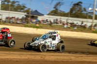 Wingless 22 T22 - 14 - Latrobe - 10th Feb 2024