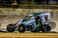 Wingless 5 T5 - 14 - Latrobe - 10th Feb 2024-9