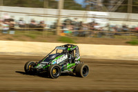 Wingless 5 T5 - 14 - Latrobe - 10th Feb 2024-2