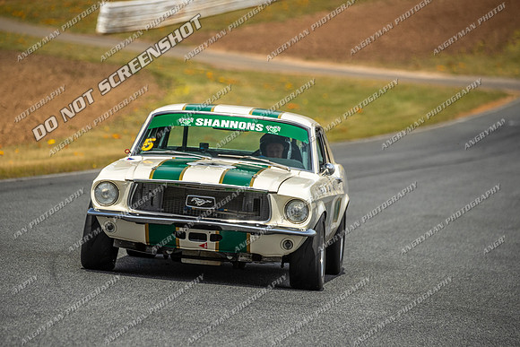 Group Nb & Nc Touring Cars - 5 - Baskerville Historics 2024-14
