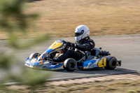 TAG 125 Restricted Light - 4 - Karts - 1st June 2017-5