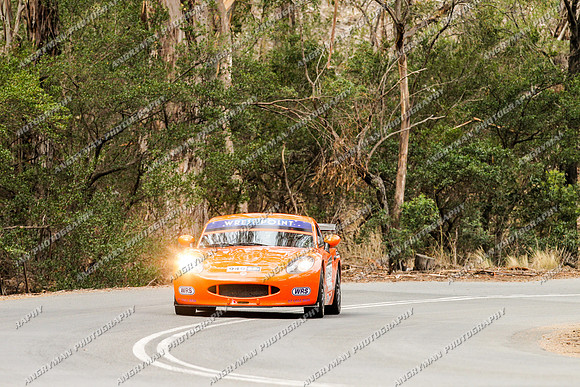 949 - 5 - Grasstree Hill - RM-2