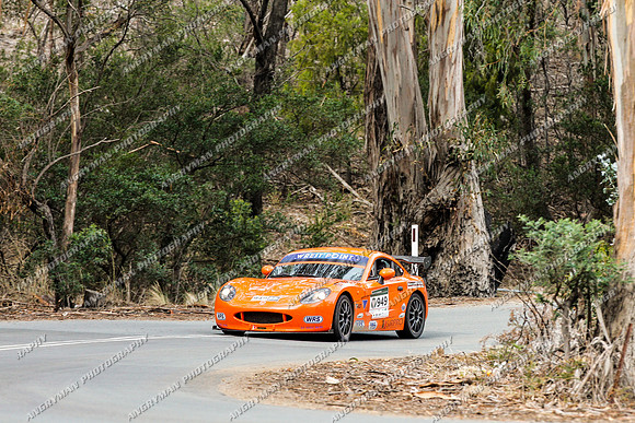 949 - 5 - Grasstree Hill - RM