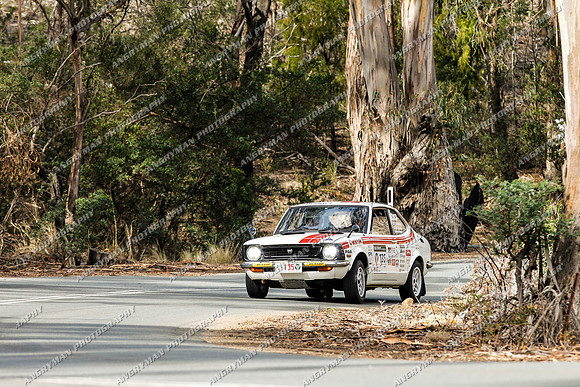 135 - 5 - Grasstree Hill - RM