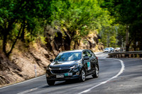 TOUR LEADER 10 - TS02 - Gillies Range - JL