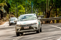 TOUR LEADER 6 - TS02 - Gillies Range - JL