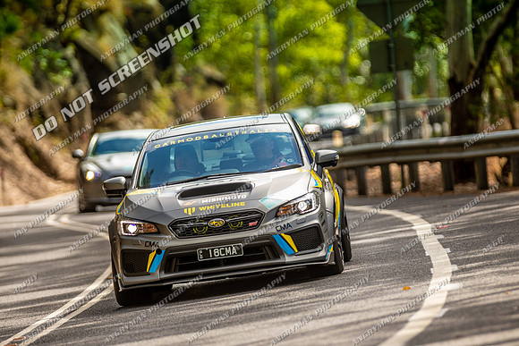TOUR LEADER 3 - TS02 - Gillies Range - JL