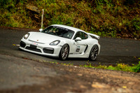 TL8 - TS07 - Sideling - GS