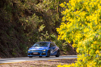 TL8 - TS6-Mt Buller 1-SG-2