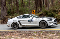 TOUR LEADER 6 - TS08 - Mt Buller - SS