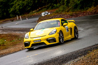 TL3 - TS07 - Sideling - RM-2