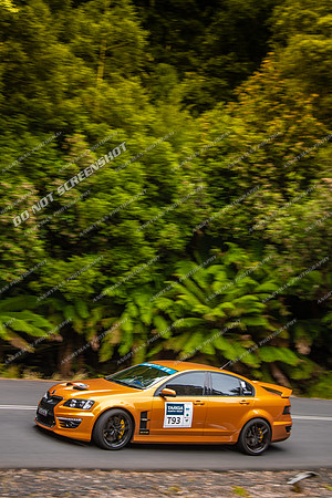T93 - TS11 - Hellyer Gorge