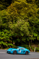 T92 - TS11 - Hellyer Gorge