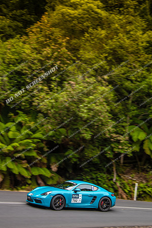 T92 - TS11 - Hellyer Gorge