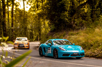T92 - TS08 - Hellyer Gorge