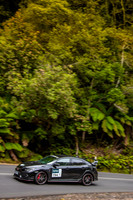 T94 - TS11 - Hellyer Gorge