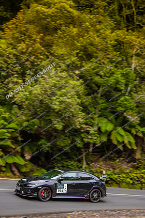 T94 - TS11 - Hellyer Gorge