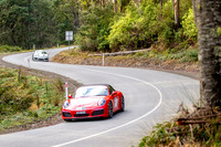 TL 96N - TS10 Sideling AR