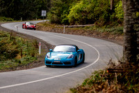 TL 93D - TS10 Sideling AR