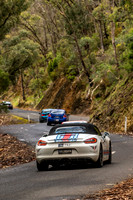 T92 - TS06 - DRY CREEK HILL - GS