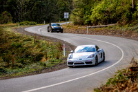 TL 97G - TS10 Sideling AR