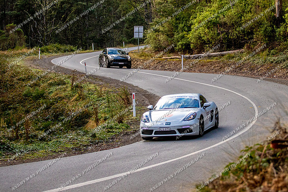 TL 97G - TS10 Sideling AR