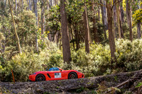 TL4 - TS6-Mt Buller 1-SG