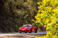 TL4 - TS6-Mt Buller 1-SG-2